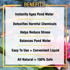 img 2 attached to 🌿 El20624 Xtreme Conditioner Treatment for Ponds and Outdoor Water Gardens, Safe for Live Koi Fish, Plant Life, and Décor - Ecological and Effective - 32 oz