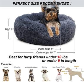 img 2 attached to Calming Dog Bed for Small to Medium Dogs – Anti-Anxiety Deep Sleep Fluffy Round Donut Puppy Bed, Suitable for 10-45 Lbs Pets, Washable