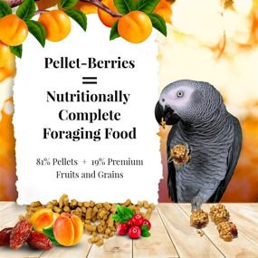 img 3 attached to 🐦 Lafeber's Non-GMO Pellet-Berries Pet Bird Food, Crafted with Human-Grade Ingredients, Ideal for Parrots