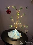 img 1 attached to Bring The Classic Spirit Of Charlie Brown'S Christmas To Your Home With ProductWorks' 24" Tree And Linus'S Blanket Decoration review by Jeff Clites
