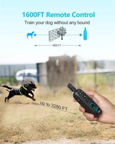 img 2 attached to 🐶 Petma Shock Collar for Dogs - Dog Training Collar with Remote - 3280ft Range - Beep, Vibration, and Shock Modes - Suitable for Small, Medium, and Large Dogs