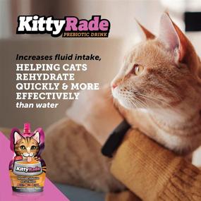 img 3 attached to 🐱 KittyRade: Nourishing Prebiotic Isotonic Drink for Cats, Boosts Hydration & Supports Cat Health – Now in Convenient 3-Pack!