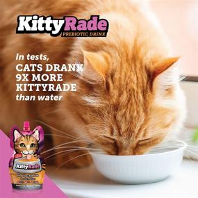 img 1 attached to 🐱 KittyRade: Nourishing Prebiotic Isotonic Drink for Cats, Boosts Hydration & Supports Cat Health – Now in Convenient 3-Pack!