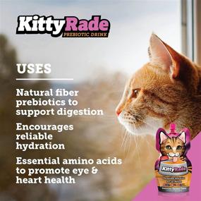 img 2 attached to 🐱 KittyRade: Nourishing Prebiotic Isotonic Drink for Cats, Boosts Hydration & Supports Cat Health – Now in Convenient 3-Pack!