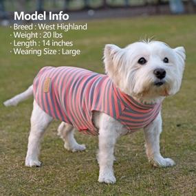 img 3 attached to KYEESE 2Pack Dog Coat Warm Turtleneck Stretchy Dog Sweater Super Soft Dog Cold Weather Coat For Small Dogs In Sleeveless Design, Grey,L