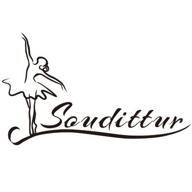 soudittur логотип