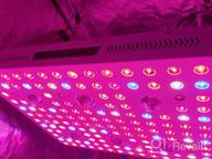 img 1 attached to Phlizon COB Series 2000W LED Plant Grow Light With Thermometer And Humidity Monitor, Adjustable Rope, Full Spectrum Double Switch For Indoor Plants Vegetables And Flowers review by Courtney Cameron
