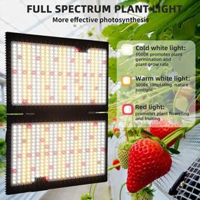 img 2 attached to WAKYME J-2000W LED Grow Light Dimmable, 4X4Ft Sunlike Full Spectrum Grow Lamp With MeanWell Driver, Waterproof Plant Light With Fan For Hydroponic Indoor Seedling Greenhouse Growing Light (700Pcs LED)
