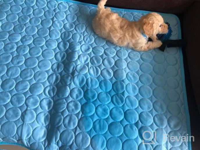 img 1 attached to Keep Your Dogs Cool This Summer With XZKING'S Ice Silk Pet Self Cooling Mat - 27.6X39, Blue review by David Elam