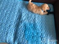 img 1 attached to Keep Your Dogs Cool This Summer With XZKING'S Ice Silk Pet Self Cooling Mat - 27.6X39, Blue review by David Elam