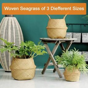 img 2 attached to 3 Pack Foldable Woven Seagrass Plant Basket With Handles - Ideal For Storage, Laundry, Picnic & More!