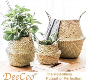 img 1 attached to 3 Pack Foldable Woven Seagrass Plant Basket With Handles - Ideal For Storage, Laundry, Picnic & More!