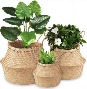 img 4 attached to 3 Pack Foldable Woven Seagrass Plant Basket With Handles - Ideal For Storage, Laundry, Picnic & More!