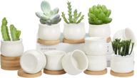 zoutog 12 pack succulent pots: mini ceramic flower/cactus planters with drainage hole - small pots for plants (plants not included) логотип