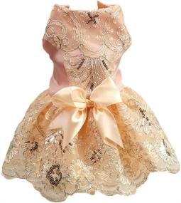 img 4 attached to 🐶 NACOCO Dog Lace Wedding Dress Tutu Skirt XL Champagne: Pet Princess Costume Perfect for Spring Summer Parties