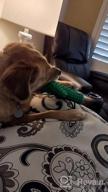img 1 attached to Durable Squeaky Dog Toys For Aggressive Chewers - Rmolitty Tough Rubber Dental Chew Toys For Large, Medium & Small Breeds (Green) review by Dan Weeman