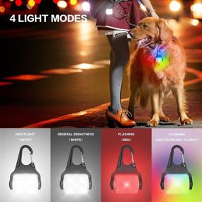 img 3 attached to Rechargeable Dog Lights - Color Changing Collar Light for Night Walking, Waterproof & 4 Modes, 2 Pack - Ideal for Running, Camping, Climbing, Biking