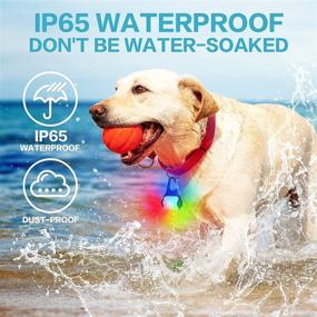 img 1 attached to Rechargeable Dog Lights - Color Changing Collar Light for Night Walking, Waterproof & 4 Modes, 2 Pack - Ideal for Running, Camping, Climbing, Biking