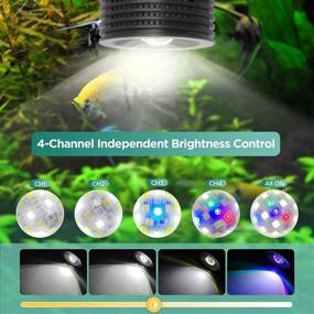 img 3 attached to Lominie F20 18W LED Aquarium Light: Adjustable 6500K Planted Tank Light with Remote Controller for Freshwater Fish Tank Refugium - Gooseneck Design