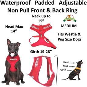 img 3 attached to 🐾 Red Color Coded Non-Pull Front and Back D Ring Padded and Waterproof Vest Dog Harness - Service Dog Vest with 'Do Not Disturb/Dog is Working' Indicator - Promotes Safety and Prevents Accidents by Alerting Others in Advance (Size: Medium)