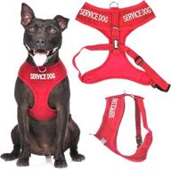 🐾 red color coded non-pull front and back d ring padded and waterproof vest dog harness - service dog vest with 'do not disturb/dog is working' indicator - promotes safety and prevents accidents by alerting others in advance (size: medium) logo