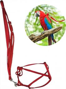 img 4 attached to Adjustable Pet Bird Harness Leash For Parrot African Grey, Cockatoo, Macaw, Ringneck, Cockatiel, Reptile And Lizard - Nylon Anti-Bite Training Harness For Outside Walks By Bonaweite