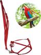 adjustable pet bird harness leash for parrot african grey, cockatoo, macaw, ringneck, cockatiel, reptile and lizard - nylon anti-bite training harness for outside walks by bonaweite logo