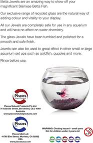 img 3 attached to Pisces AM-BETTA105: Luxurious Violet Betta Jewels in a Convenient 17 oz Size