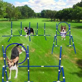 img 3 attached to Jiorola Dog Agility Training Equipment Kit - Indoor & Outdoor Obstacle Course Set for Large & Small Dogs - Includes Jumps, Hoop, Weave Poles - Interactive Exercise and Backyard Workout - 3 Combinations