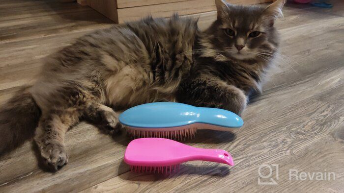 img 1 attached to TANGLE TEEZER massage brush The Wet Detangler Mini, for detangling hair, 15.5 cm review by Gabriela Werbliska ᠌