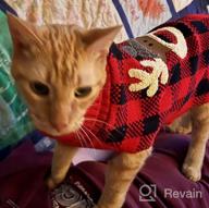 картинка 1 прикреплена к отзыву KYEESE Valentine'S Day Small Dog Sweaters With Leash Hole Turtleneck Dog Knitting Sweater In Heart Leopard Pattern от Brian Micheals
