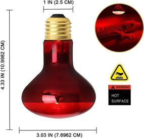 img 3 attached to 🦎 HANJION 2 Pack Reptile Red Light Bulb 75W - Infrared Basking Spot Lamp for Bearded Dragon - Reptile & Amphibian Lightbulbs