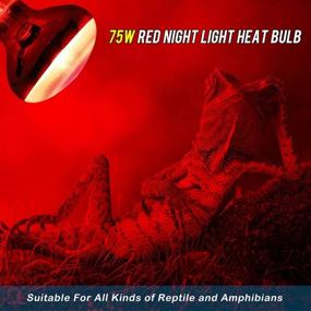 img 2 attached to 🦎 HANJION 2 Pack Reptile Red Light Bulb 75W - Infrared Basking Spot Lamp for Bearded Dragon - Reptile & Amphibian Lightbulbs