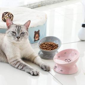 img 1 attached to SWEEJAR Ceramic Raised Cat Bowls: Stress-Free Elevated Porcelain Pet Feeder Bowl To Protect Your Cat'S Spine!