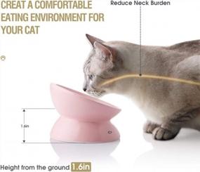 img 2 attached to SWEEJAR Ceramic Raised Cat Bowls: Stress-Free Elevated Porcelain Pet Feeder Bowl To Protect Your Cat'S Spine!
