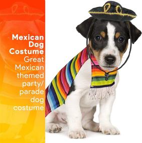 img 3 attached to 🐶 Skeleteen Mexican Serape Dog Costume - Small Breed Cinco de Mayo Poncho and Sombrero Pet Costumes