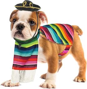 img 1 attached to 🐶 Skeleteen Mexican Serape Dog Costume - Small Breed Cinco de Mayo Poncho and Sombrero Pet Costumes