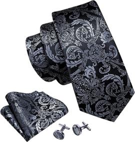 img 3 attached to Barry Wang Paisley Hanky Cufflinks Necktie Men's Accessories via Ties, Cummerbunds & Pocket Squares