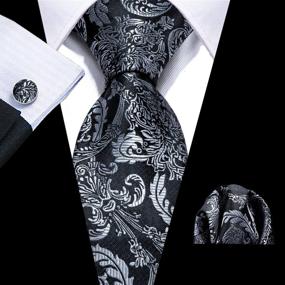 img 2 attached to Barry Wang Paisley Hanky Cufflinks Necktie Men's Accessories via Ties, Cummerbunds & Pocket Squares