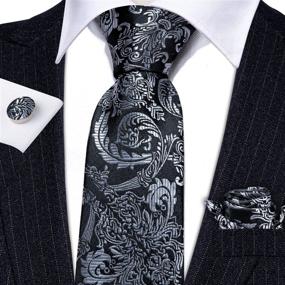 img 1 attached to Barry Wang Paisley Hanky Cufflinks Necktie Men's Accessories via Ties, Cummerbunds & Pocket Squares