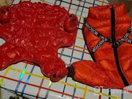img 1 attached to Didog Winter Small Dog Coats: Waterproof, Warm & Harness Compatible For Puppy & Cat Walking Hiking - Red (Chest 13") review by John Fuentes