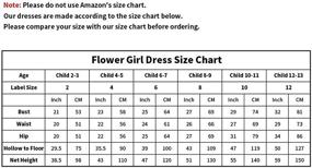 img 1 attached to 👗 Carat Chiffon Flutter Sleeves Dresses: Gorgeous Girls' Clothing for All Occasions