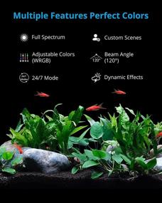img 1 attached to NICREW RGB+W 24/7 LED Aquarium Light: Remote Control, Full Spectrum, 12W Planted Freshwater Tank Light
