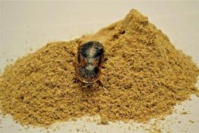 img 3 attached to 🦗 Premium 1/2 lb. Roach/Cricket Chow with 1 oz. Water Crystals Combo: A Five-Star Feeder Delight
