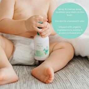 img 1 attached to 🌿 Organic Lavender Baby Bum Spray – Rinse-Free Hygiene Wash with Aloe for Gentle Cleansing of Diaper Area, All-Natural & Non-Toxic for Babies