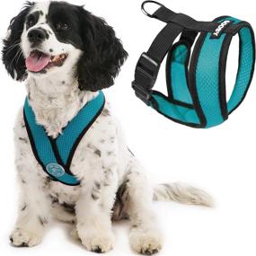 img 4 attached to Gooby Comfort X Head In Harness - Turquoise, Medium - No Pull Small Dog Harness Patented Choke-Free X Frame - On The Go Dog Harness For Medium Dogs No Pull Or Small Dogs For Indoor And Outdoor Use