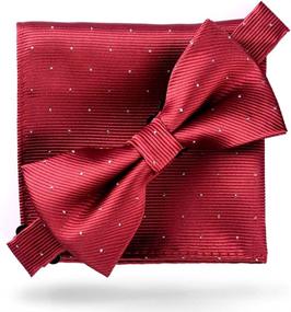 img 1 attached to Flairs New York Gentlemans Essentials Men's Accessories : Ties, Cummerbunds & Pocket Squares