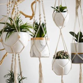 img 2 attached to POTEY Macrame Plant Hangers - Set Of 5 Hanging Plant Holders With Wood Beads And 10 Hooks For Boho Home Decor - 47.3''/40''/40''/40''/40'', Ivory