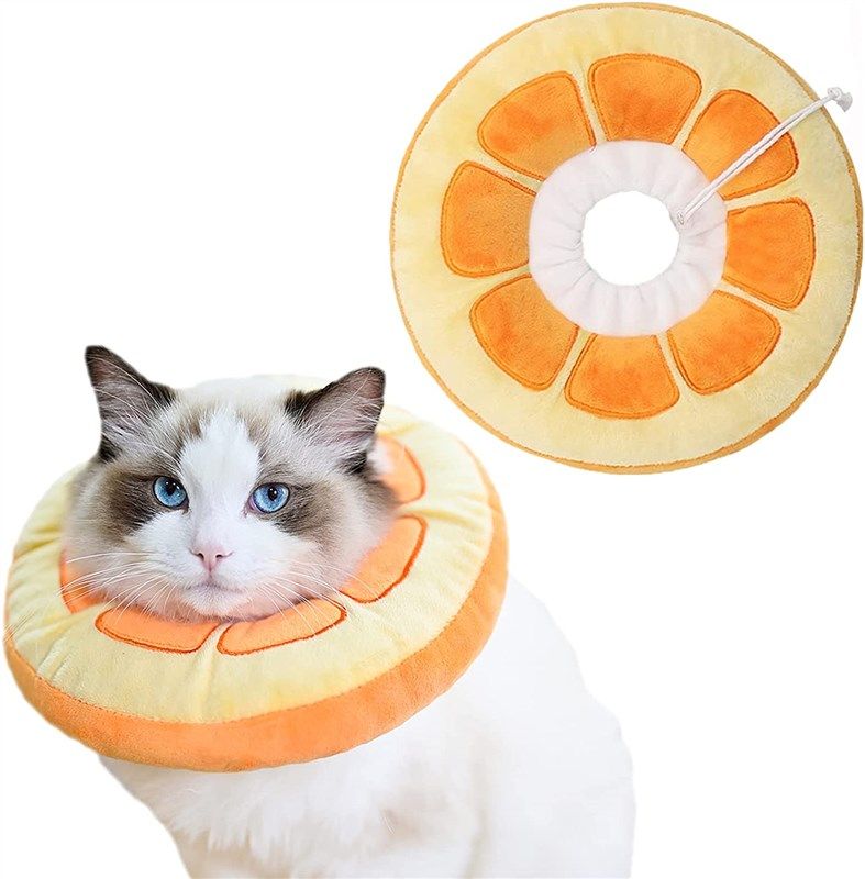 HONGMILL Collar Cones Licking Orange Cats Reviews & Ratings Revain
