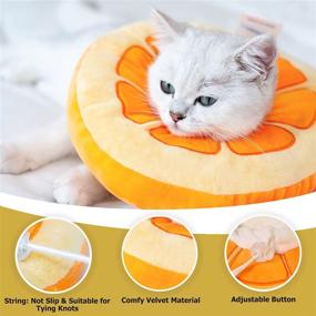 img 1 attached to 🐱 HONGMILL Soft Cat Cone Collar: Prevent Licking & Protect Your Kitty with Gentle Cat Elizabethan Collar for Kittens